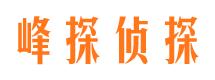 阜康市私家侦探